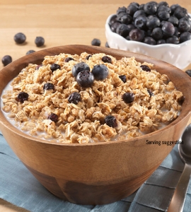 Granola with Milk and Blueberries - #10 can